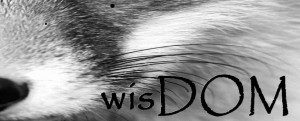BDSM | Dominance submission | wisDOM